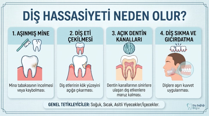 Diş Hassasiyeti Neden Olur? Nasıl Azaltılır?
